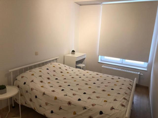 Vakantie Appartement Allure, Met Zuidgericht Tuintje Ostende Exteriér fotografie